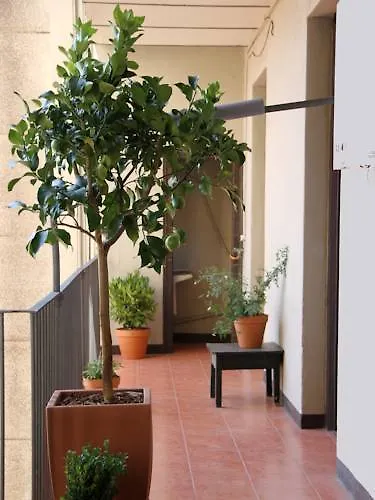 El Puchi Barcelona Guest House 0*,  Spain