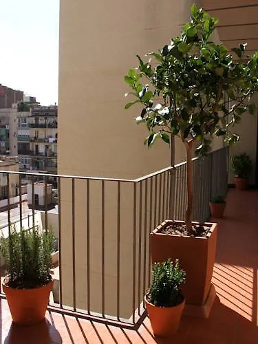 El Puchi Barcelona Guest House Spain